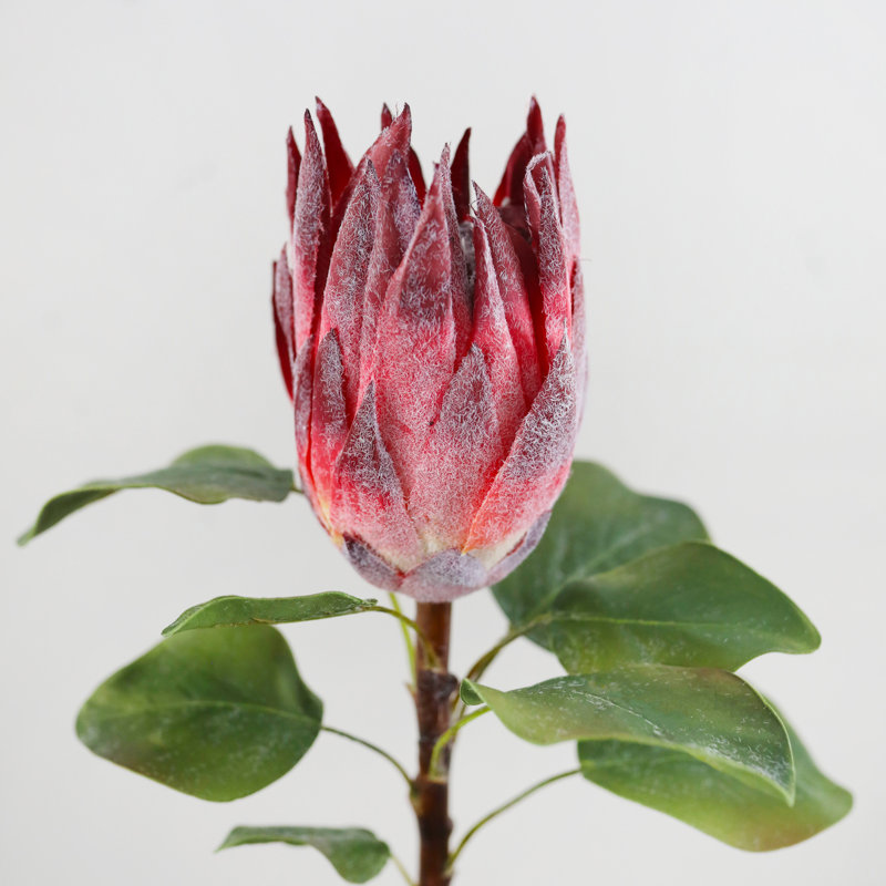 Protea Faux Floral, Burgundy