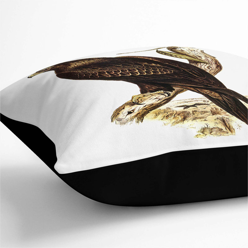 Square Cushion, Black, 55cm H x 55cm W x 20cm D