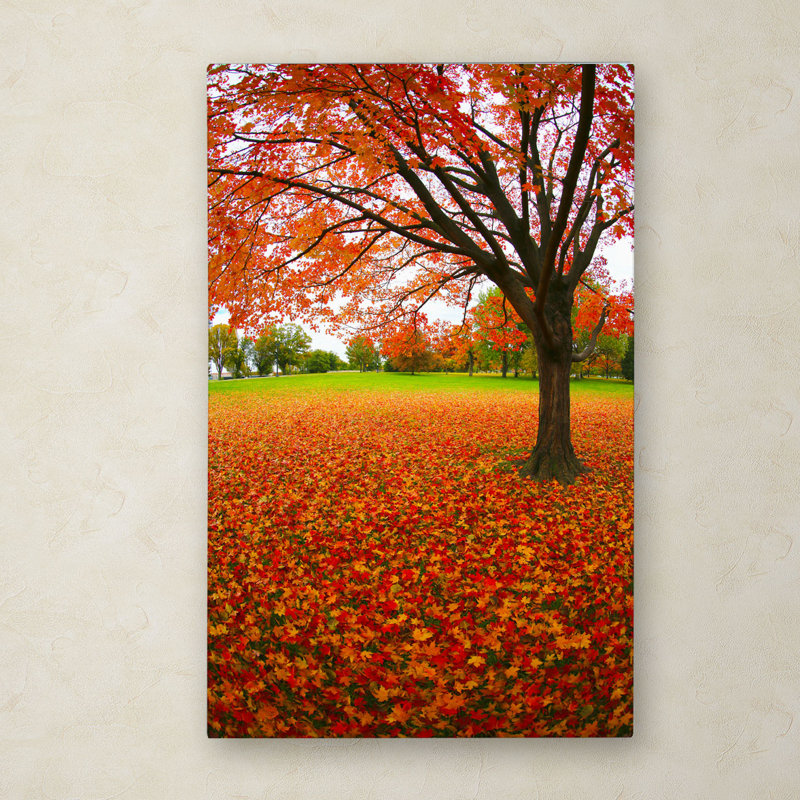 «expressions, reproduction de photo sur toile tendue Halke, H 19 po x l 12 po x P 2 po