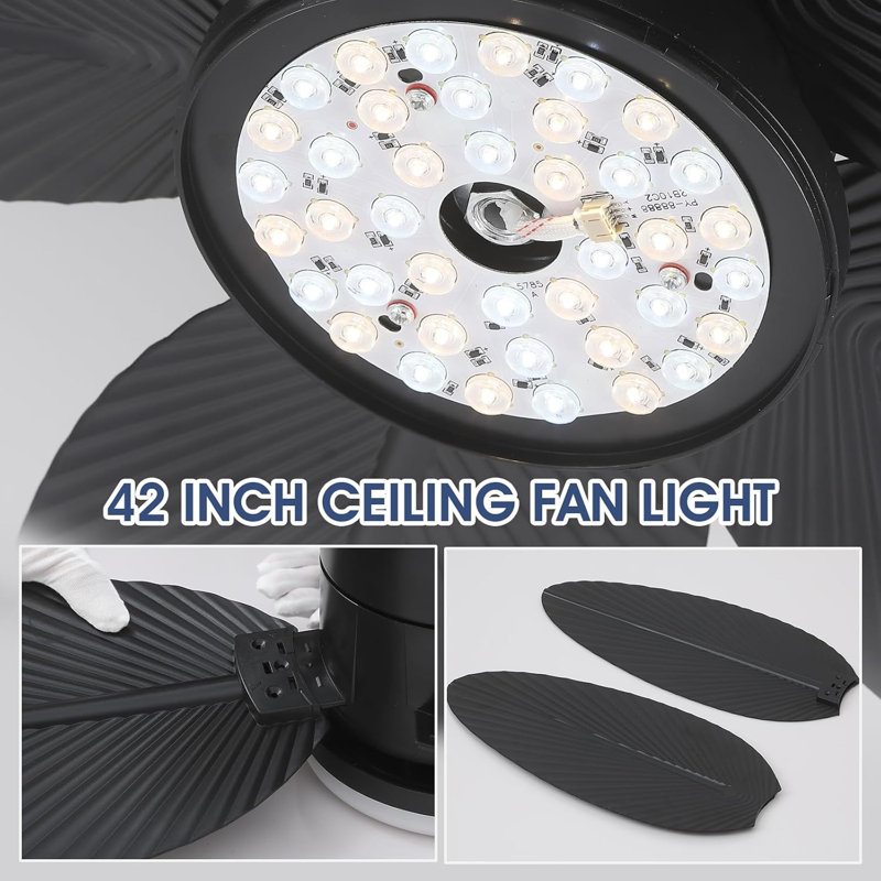 Ventilateur, Noir