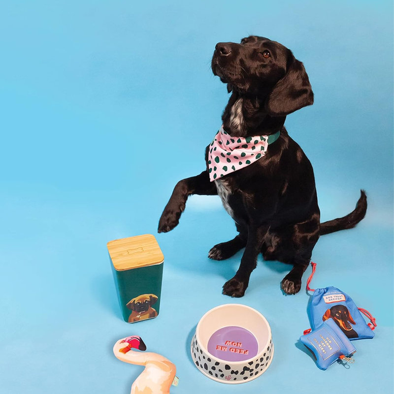 Pet Bowl