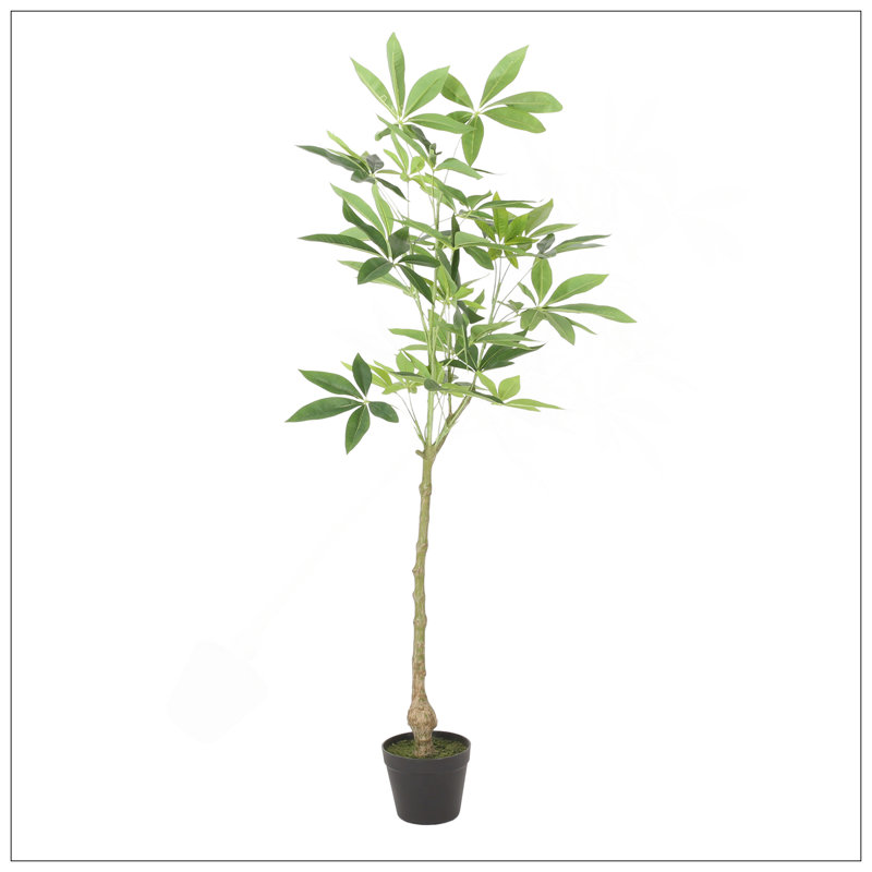 ARTIFICIAL PACHIRA MACROCARPA, 47.2" H x 23.6" W x 19.7" D