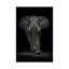 Ngorongoro Bull 1 Piece Wall Art on Canvas-406202249-505501415