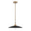 1 luminaire suspendu