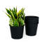 Pot de fleurs rond 5 po - Pots de jardin en plastique avec drainage