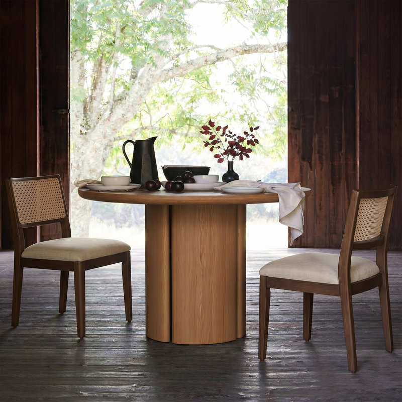 Demetruis 20''W Coastal Solid Wood Dining Chair With Rattan Backrest, Walnut