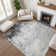 Premium Machine Washable Verlin AMF1766 Modern Rug