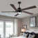 Krishona 54'' Ceiling Fan with LED Lights