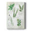 Fresh Herbs I -Gallery Wrapped Cavas-1376570848