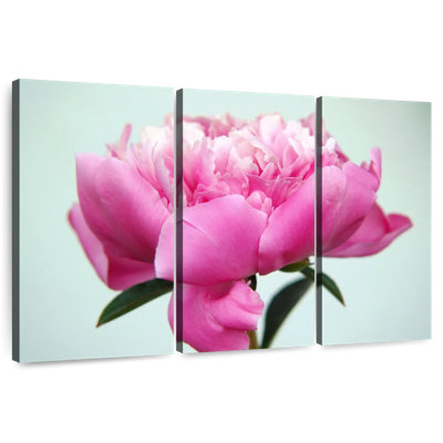 Harnek Peony Flower
