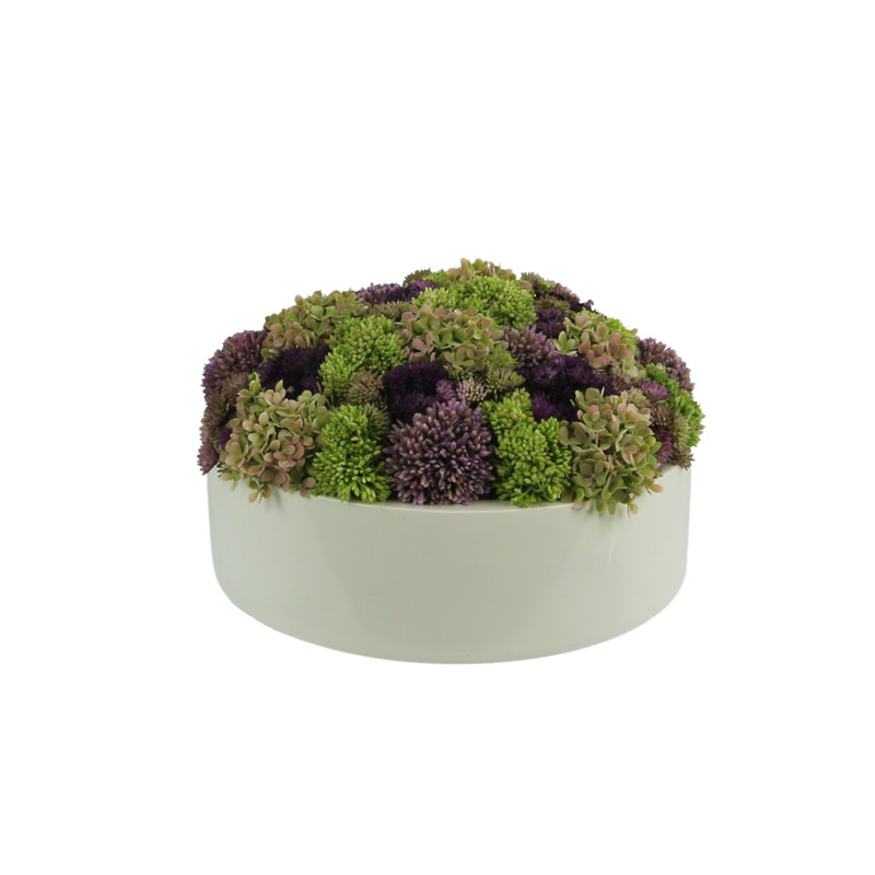 Arrangement multicolore Sedum en pot de fleurs blanc, H 6,5 po x l 12 po x P 12 po