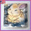 Three Cute Bunnies Bedding Bunnies couvre-lit animaux-125273232
