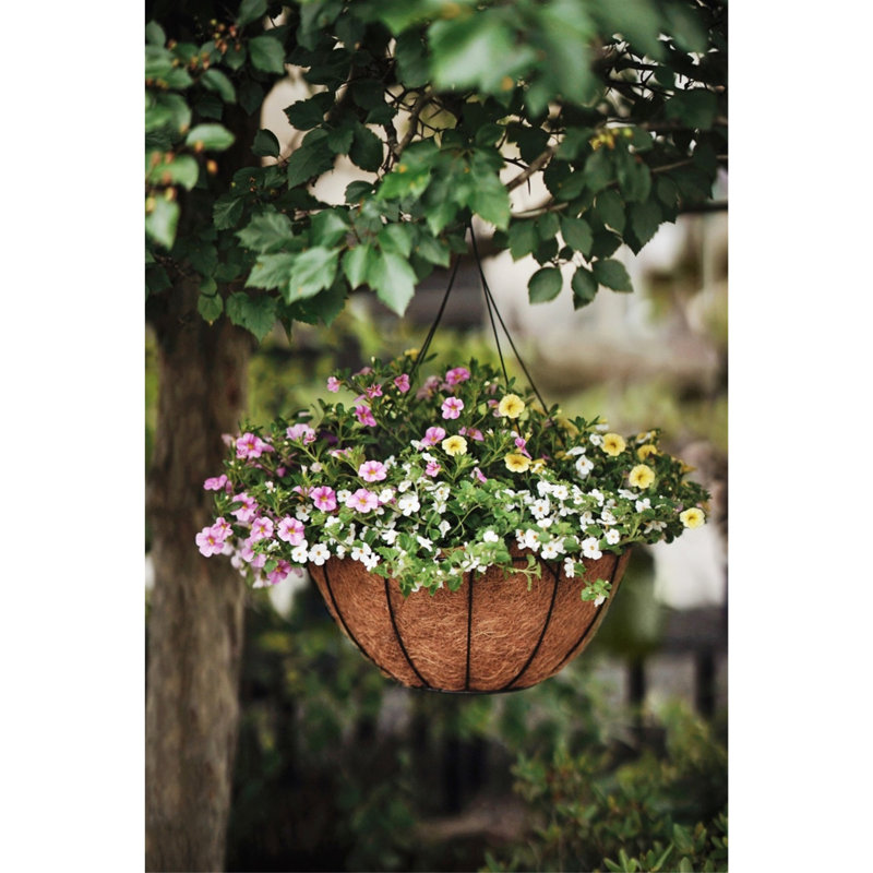Hanging Planter