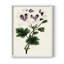 Reproduction encadrée Antique Floral Fangle IX - bois massif-1083935118-1083935119