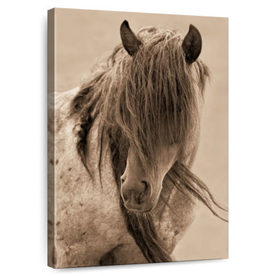 Cheval Brampt Freedom