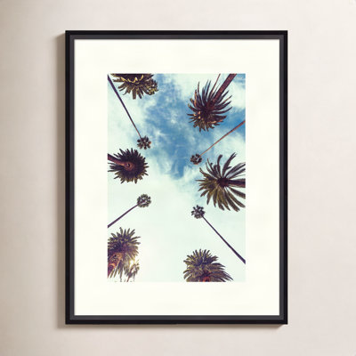Palm Sky 2 by Design Fabrikken