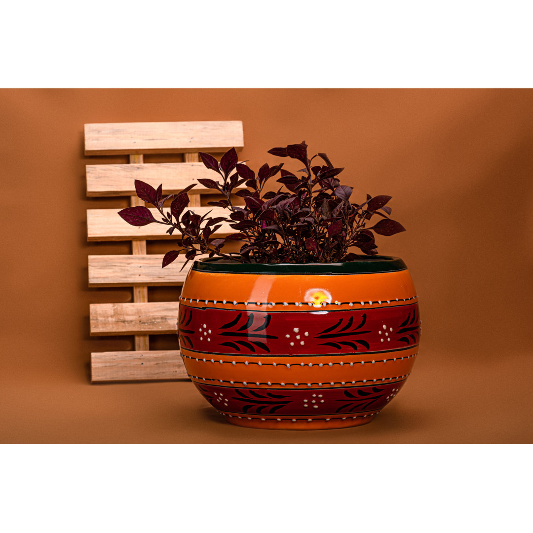 Colfax 9 in. Stripped Orange Talavera Baul Planter Ivy Bronx