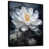 Black Floater Framed