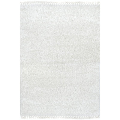 Modern Tasseled Shag Area Rug