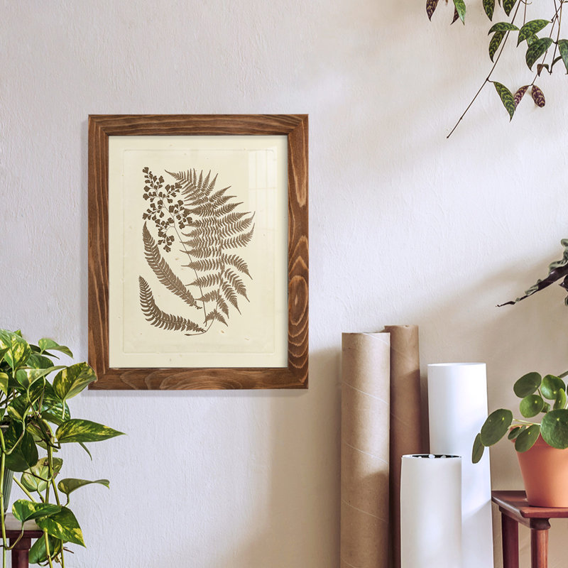 Meggan Sepia Ferns III, reproduction d'art encadrée, L 9 po x H 11 po x P 1 po, Noyer