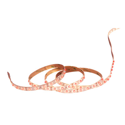 Detwiler 500 cm LED Strip Light