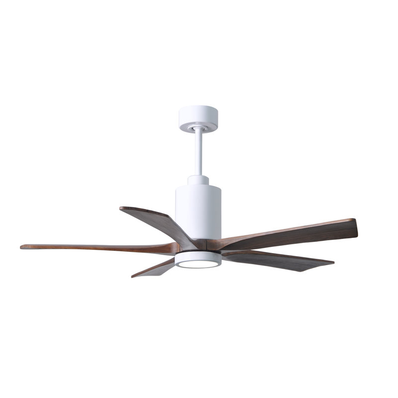 Patricia 52'' Ceiling Fan with LED Lights, Gloss White, Walnut Tone