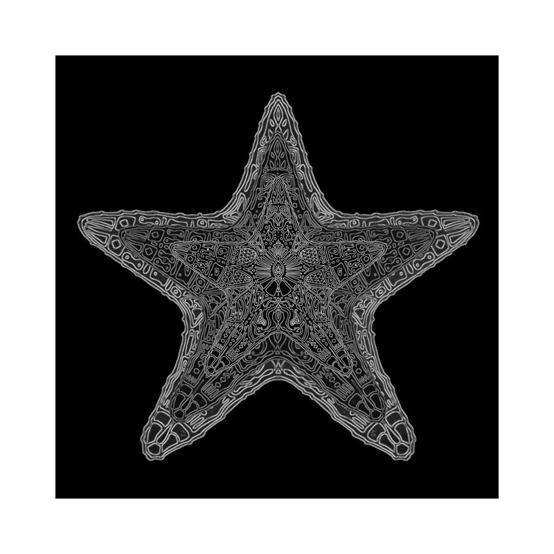 Ornate Starfish by Barruf - Wrapped Canvas Gallery-Wrapped Canvas Giclée, 30.48 cm H x 30.48 cm W
