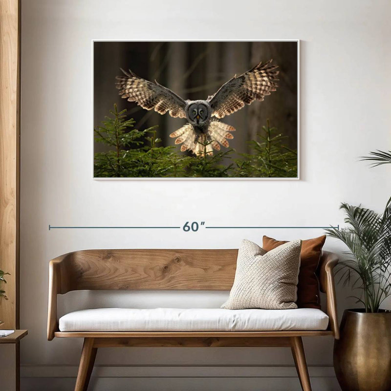 Hibou volant, Cadre flottant blanc, 43 po x 29 po