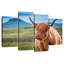 Vache Furry Highland-161263399