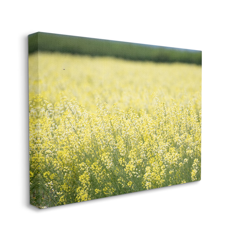 Bright Yellow Country Meadow Wildflowers Canvas Wall Art, 48 x 36