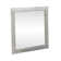 Chapmon 1" Beveled Mirror
