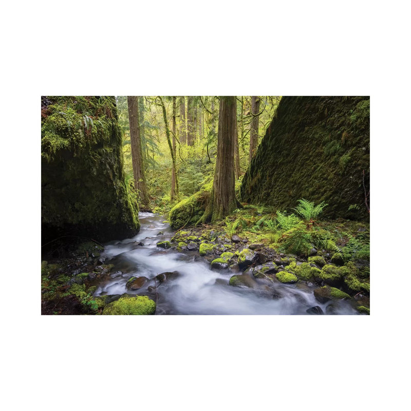 USA, Oregon. Spring View Of Ruckle Creek In The Columbia River Gorge. by Gary Luhm - Wrapped Canvas Print