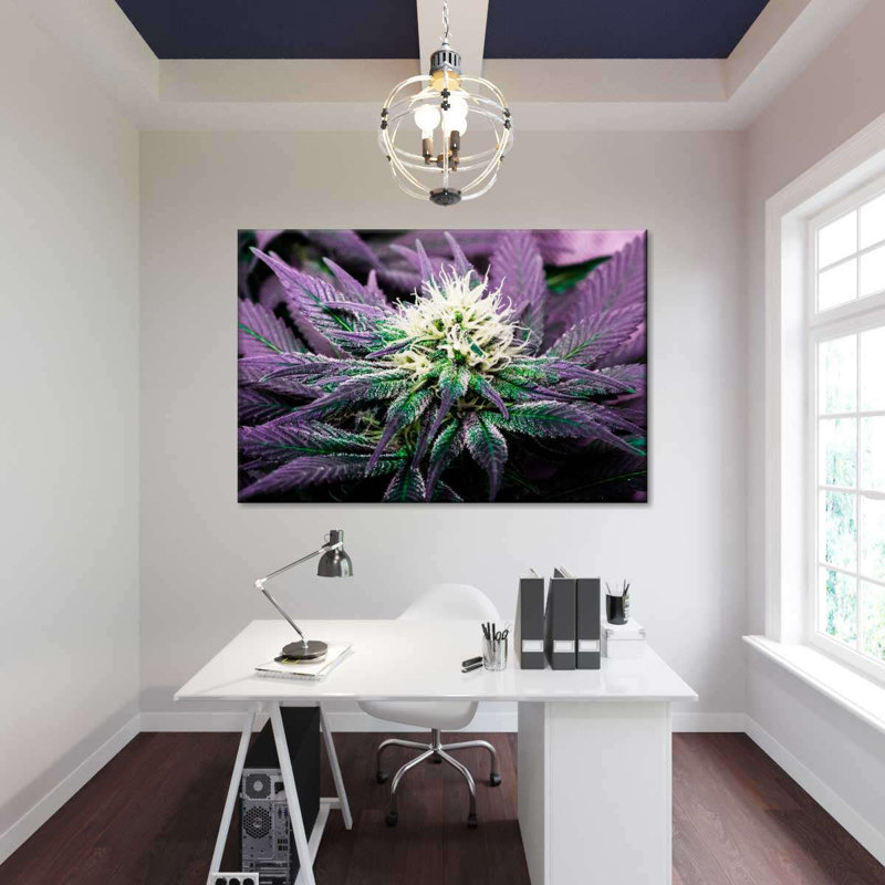 Rare cannabique, reproduction sur toile, H 30 po x l 45 po x P 1,25 po
