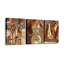 3 Piece Wrapped Canvas Wall Art