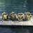 Set of 4 3.5 " Glass Votive
