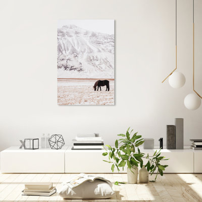 " Wild Mountain Horse "