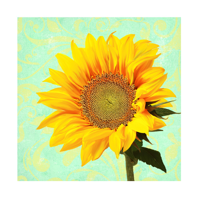 Art sur toile tournesol bolognaise Tina Lavoie, H 14 po x l 14 po