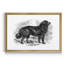 « Terre-Neuve »-impression sur toile-1727482646-1727482643