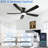 52 In. Black 5 Abs Blades Flush Mount Standard Ceiling Fan With Led Light And Remote
