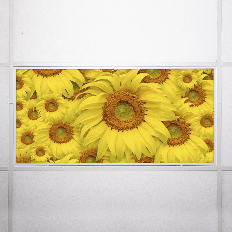 Couvre-lampes fluorescents pour salle de classe Flower - pour luminaire 2 x 4 - par Octo Lights