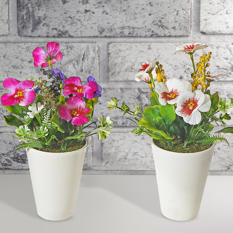 Pansy Arrangement in Pot