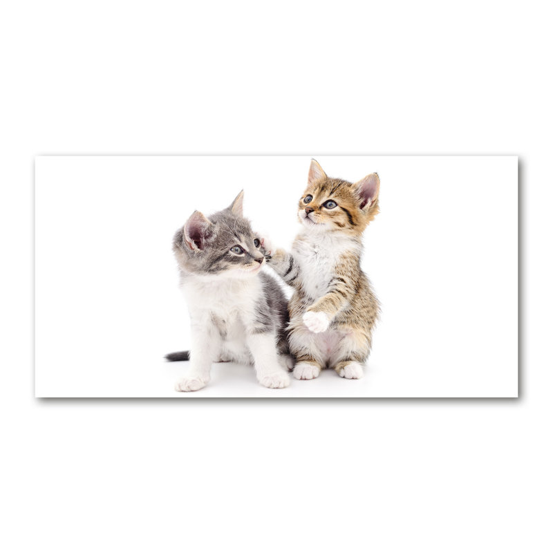Two Small Cats - Print, Canvas, 70cm H x 140cm W x 2cm D