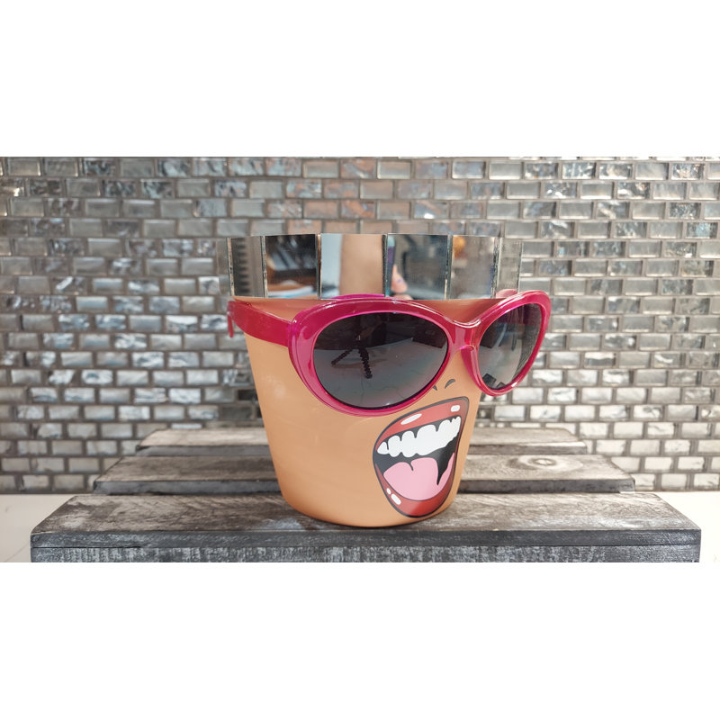 Sassy Soul Sister, pot à fleurs avec tête de drainage, pot à fleurs, pot de fleurs, cadeau unique