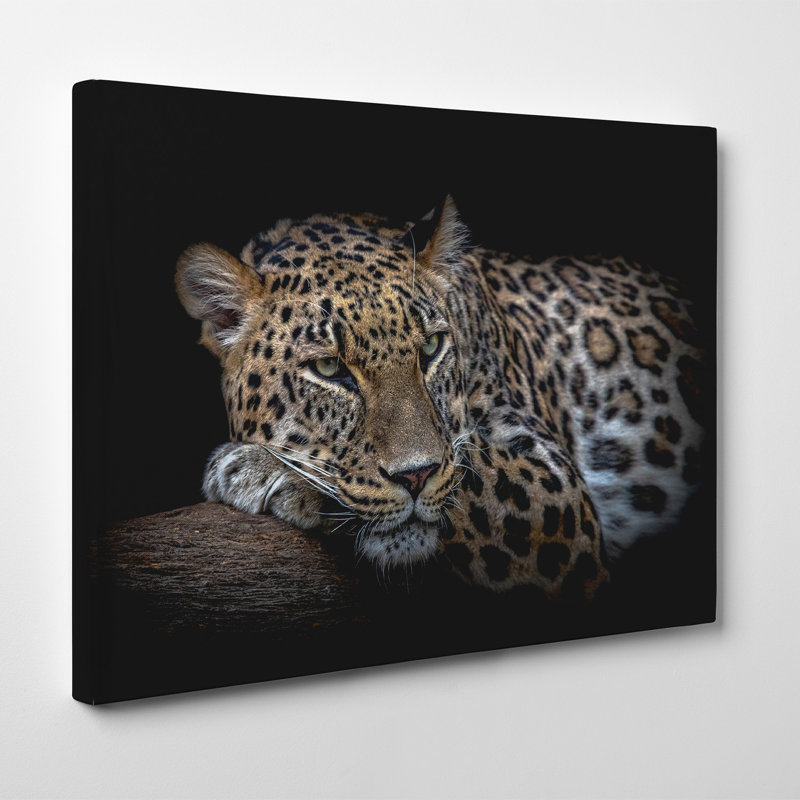 «Leopard Resting», art mural sur toile tendue par Nauzet Baez, H 8 po x l 12 po, Toile tendue