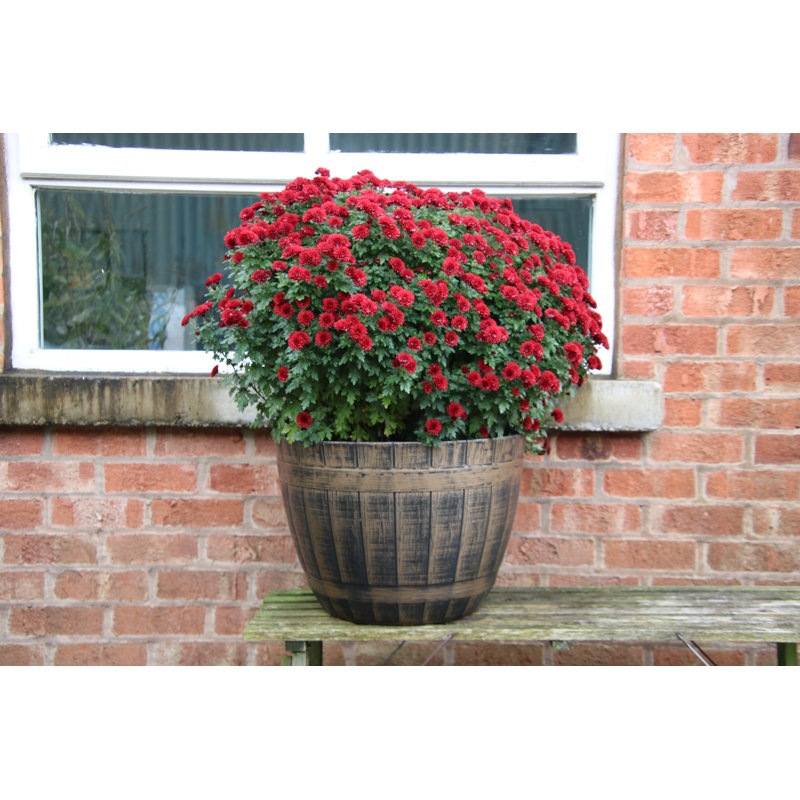 Planter, Antique Gold