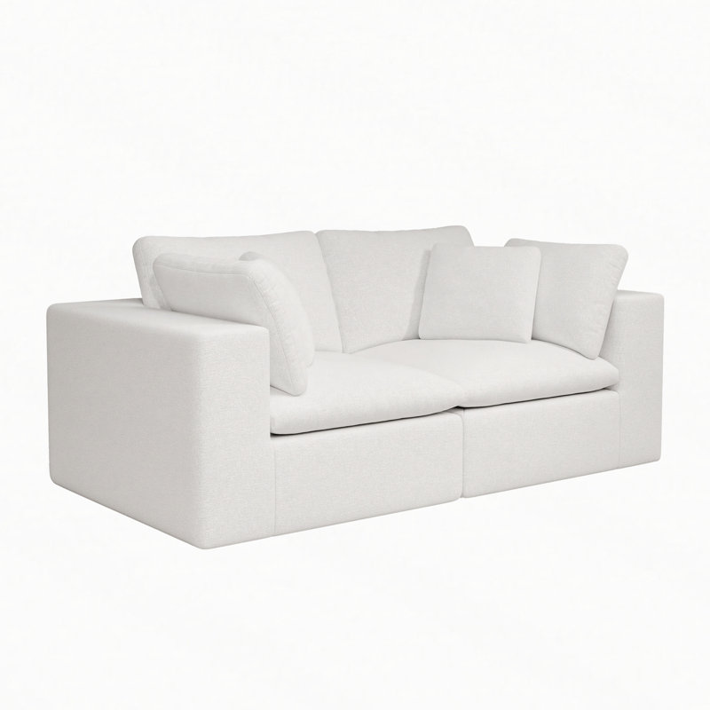 Modular Cloud Sectional Sofa No Assembly