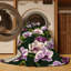 Tapis hawaïen lavable-648721944