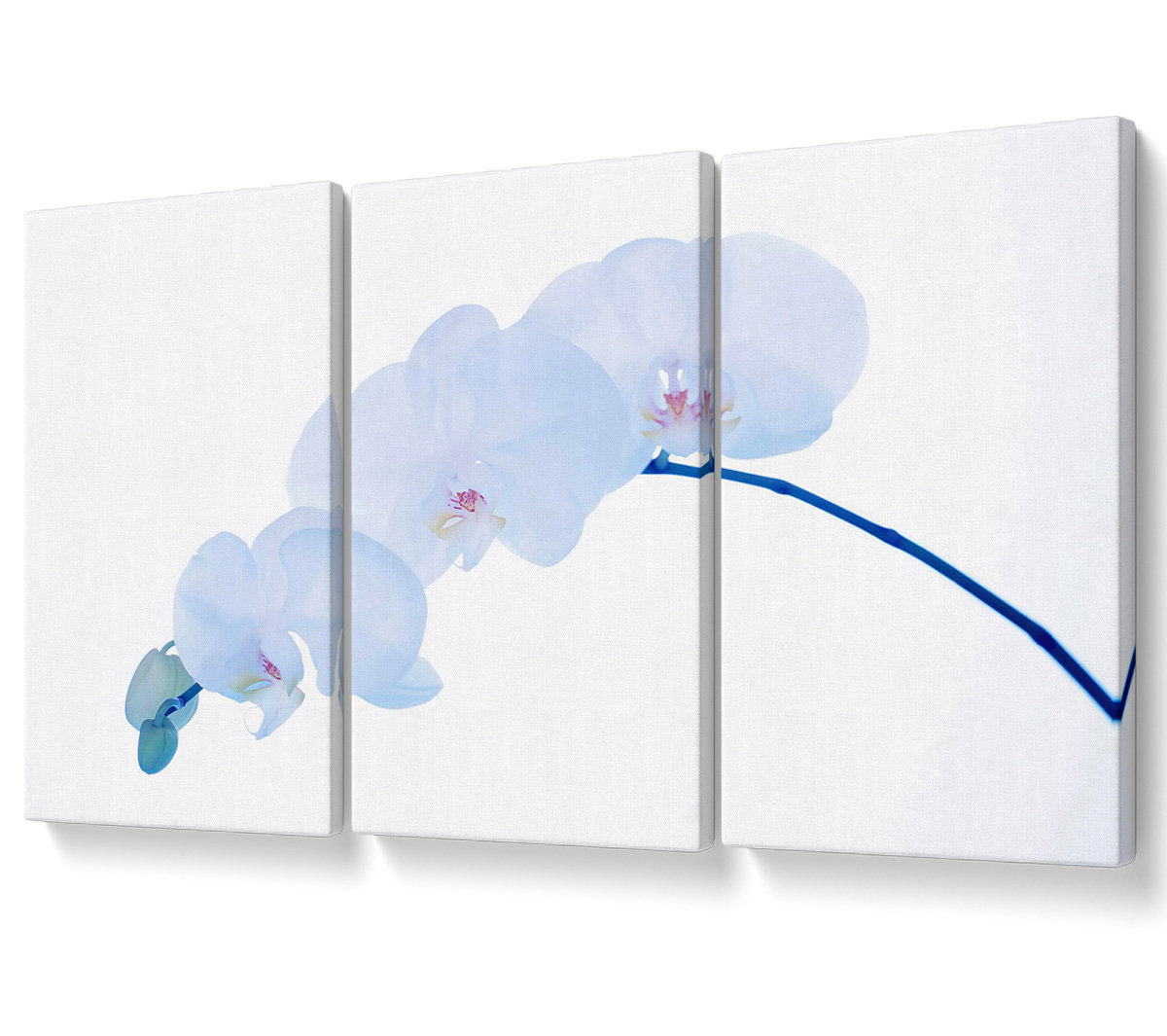 Ebern Designs Baby Blue Stem - 3 Piece Wrapped Canvas Graphic Art ...