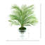 Palm And Moss Arranged In A Clear Glass Bowl Vase