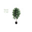 Arbre ficus artificiel en pot-521621003